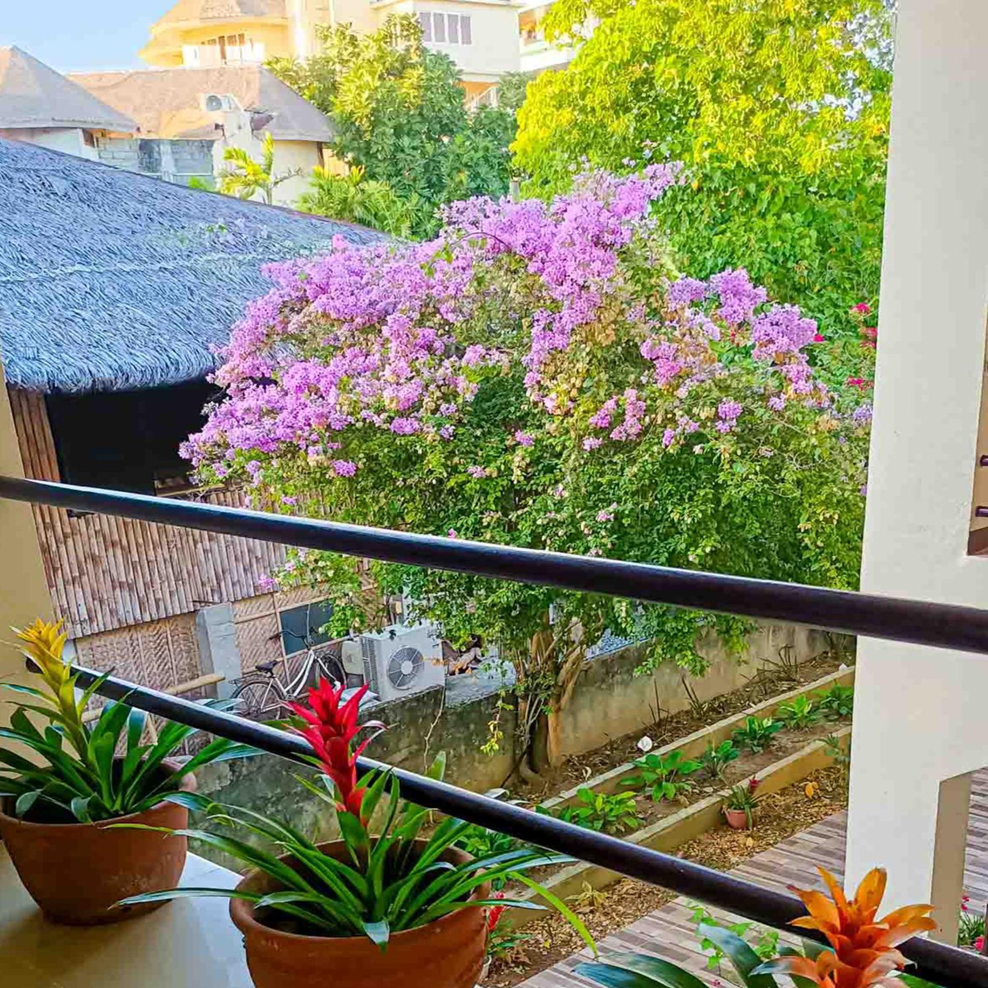 Lukay Brisas Hotel